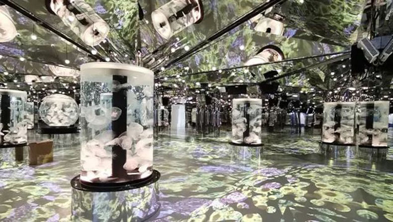 臺灣 Xpark 水族館，全方位沉浸式暢快游樂體驗